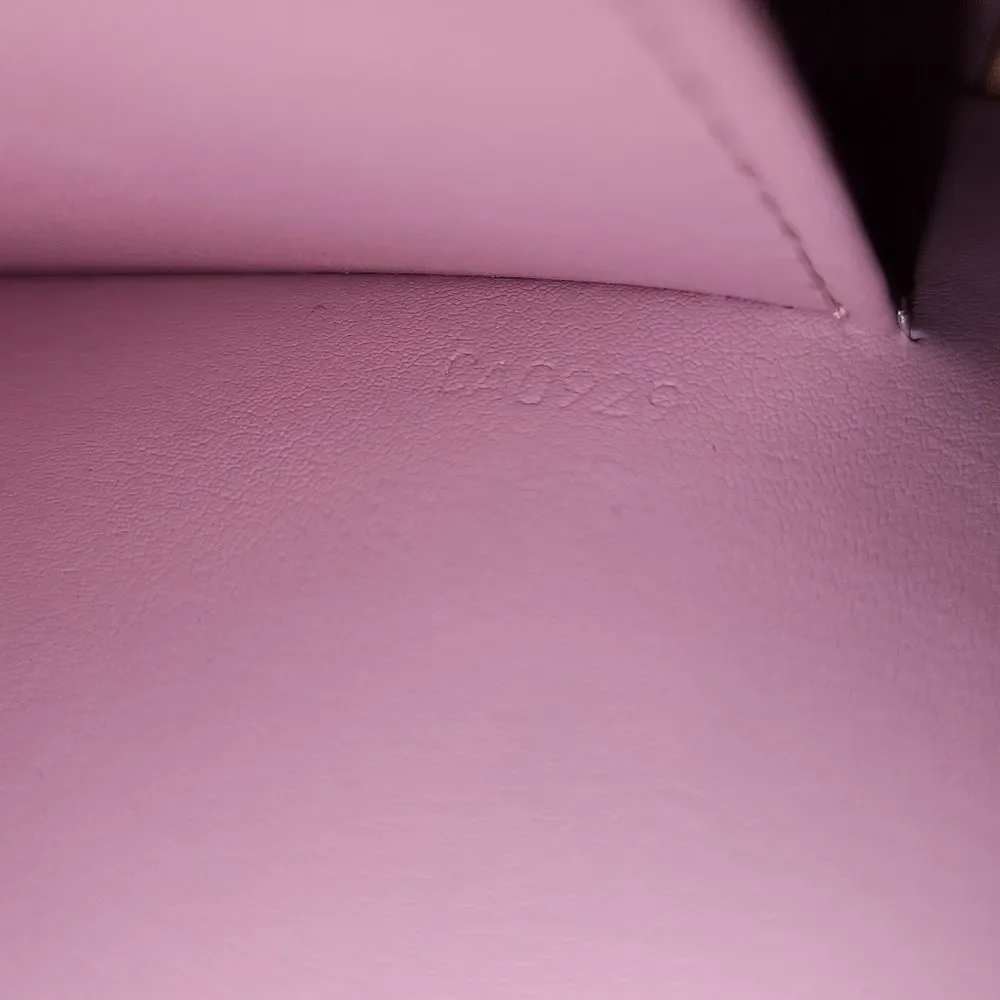 Louis Vuitton authentic louis